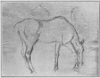 Cheval broutant