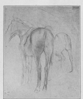 Étude de chevaux