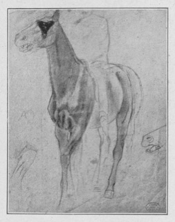 Cavalier