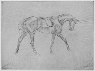 Cheval de selle.