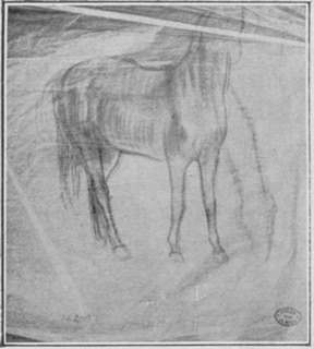 Études de chevaux