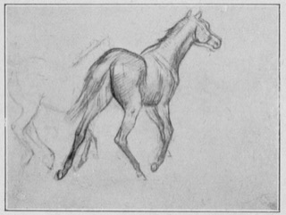 Études de chevaux
