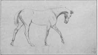 Études de chevaux