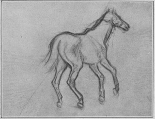 Études de chevaux