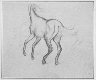 Études de chevaux