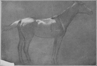 Cheval.
