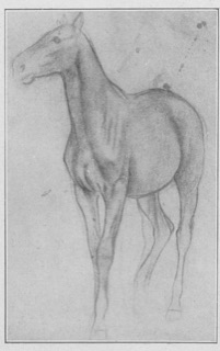 Cheval