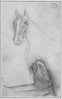 Deux têtes de cheval