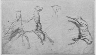 Étude de chevaux