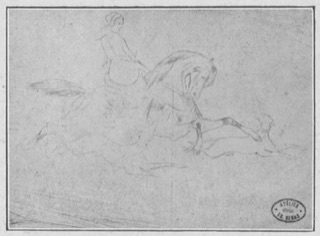 Amazone et lévriers