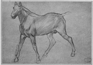 Cheval