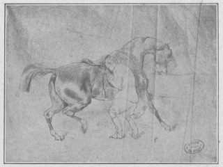 Groom sanglant un cheval