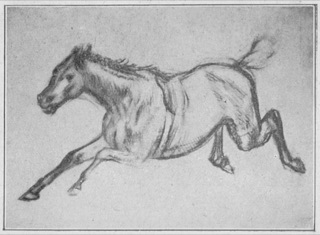 Cheval échappé