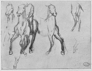 Étude de chevaux