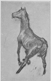Cheval s'enlevant au galop