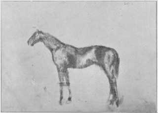 Cheval