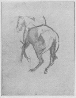 Cheval galopant