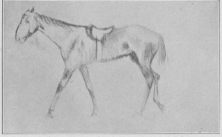 Cheval