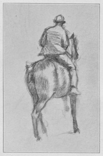 Cavalier vu de dos