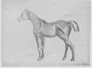 Cheval