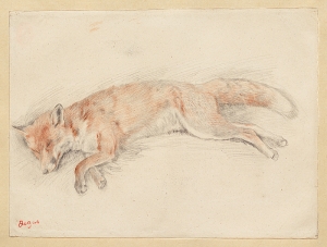 Photo de Etude pour le Renard mort