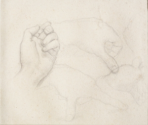 Photo de Cinq études de mains